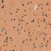 8122
